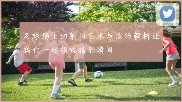 足球场上的射门艺术与技巧解析让我们一起领略精彩瞬间