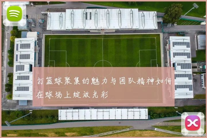 打篮球聚集的魅力与团队精神如何在球场上绽放光彩